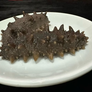 威海本地野生干海参！双十一半价处理