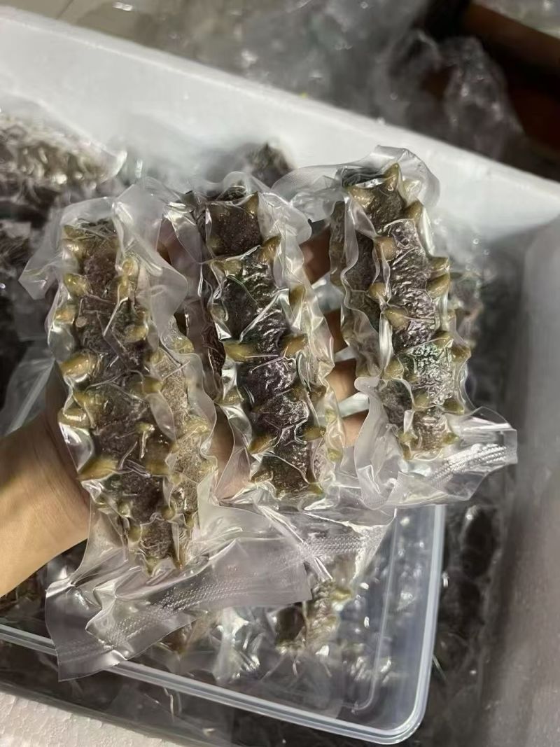 威海本地野生干海参！双十一半价处理