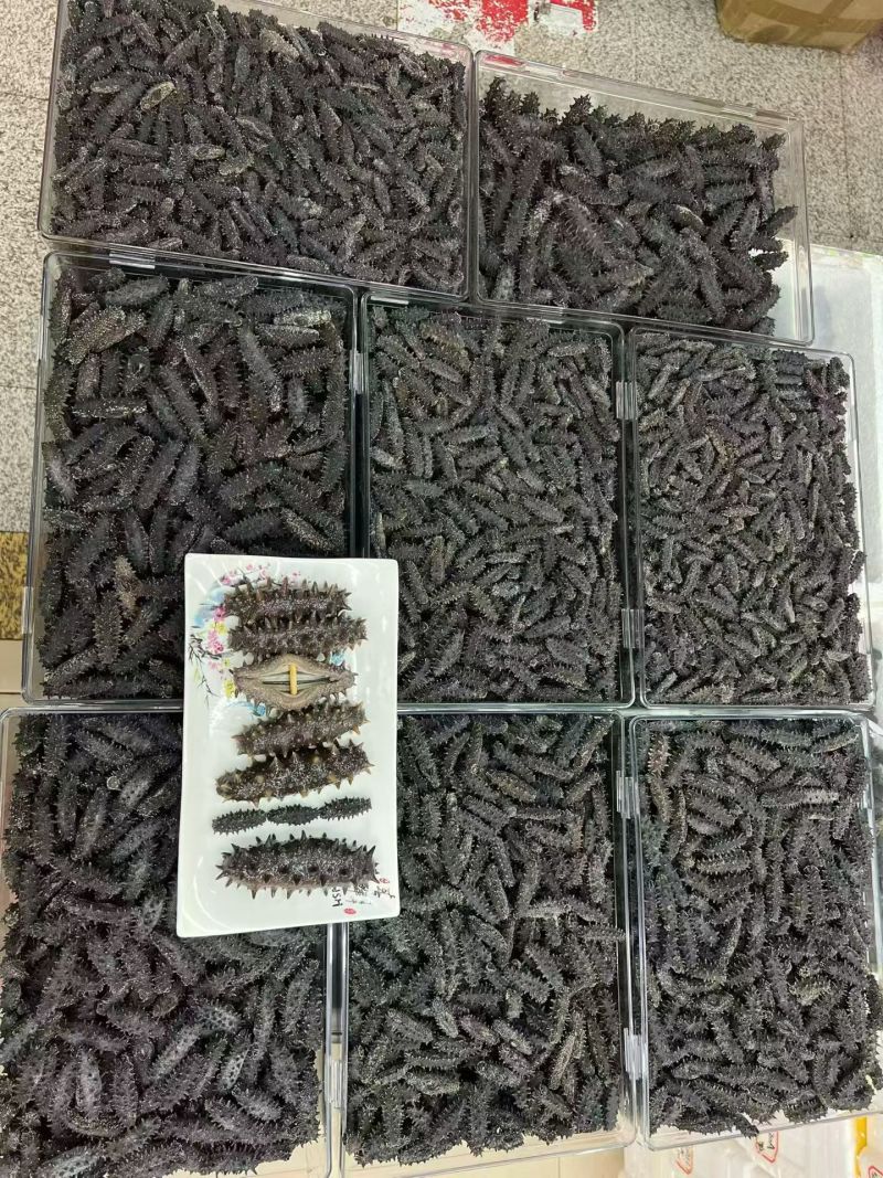 威海本地野生干海参！双十一半价处理