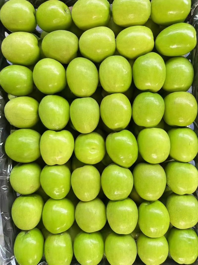 青枣，牛奶青枣