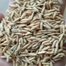 各种香稻，4.0到4.2