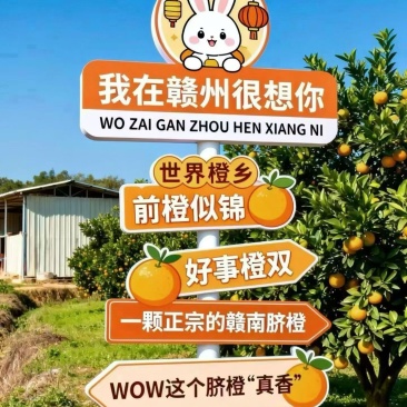 赣南脐橙