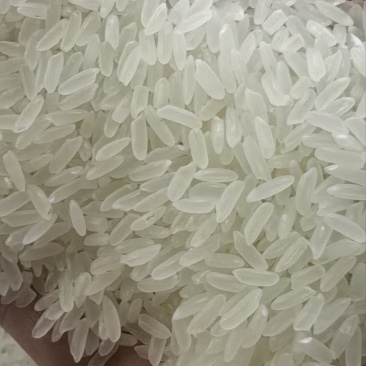 东北长粒香大米