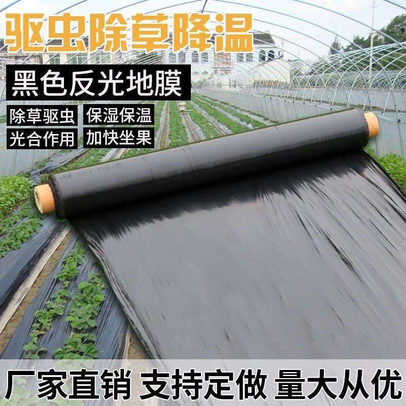 打孔地膜厂家直销