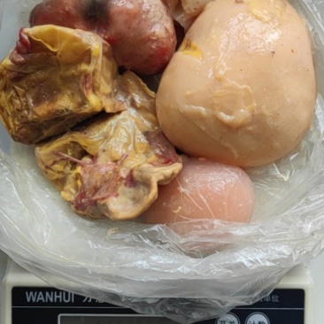 出售鸡宝