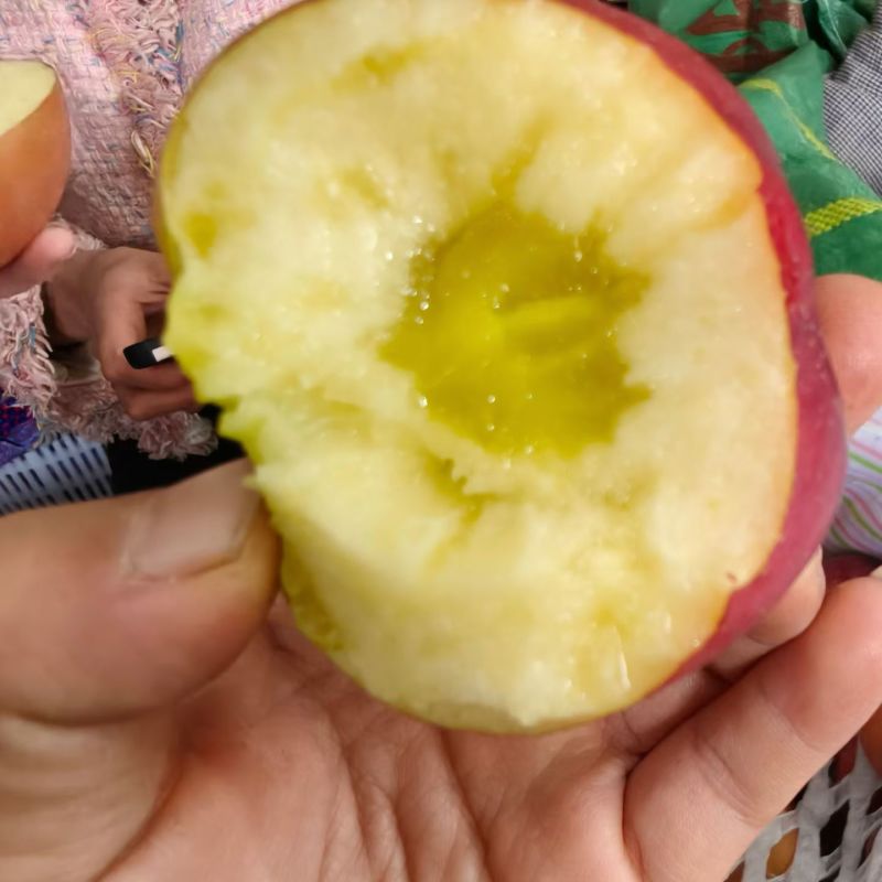 云南昭通糖心苹果