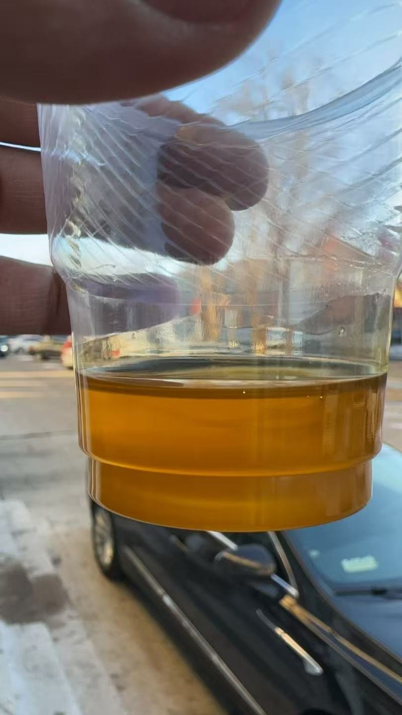 油菜籽
