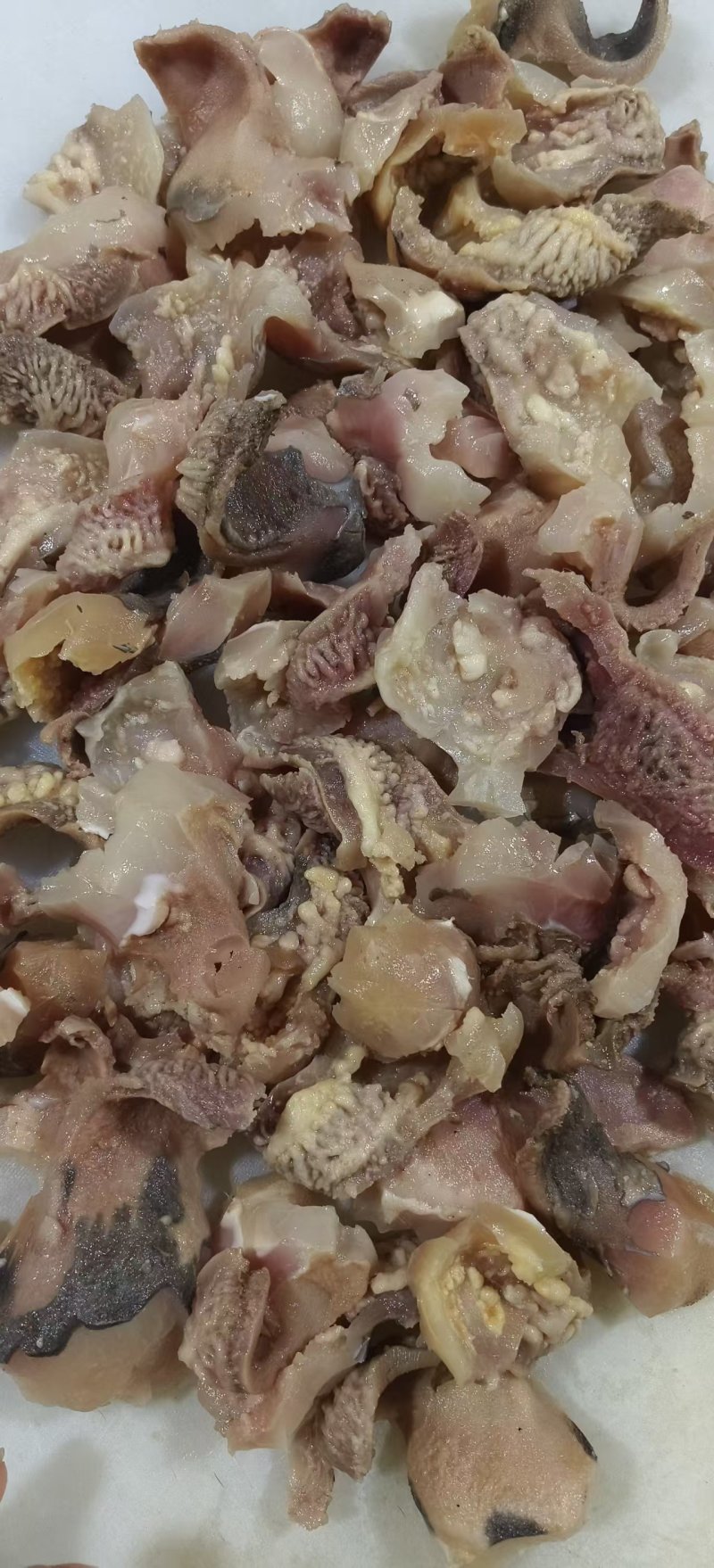 牛蹄甲筋
