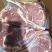 短柄战斧切片