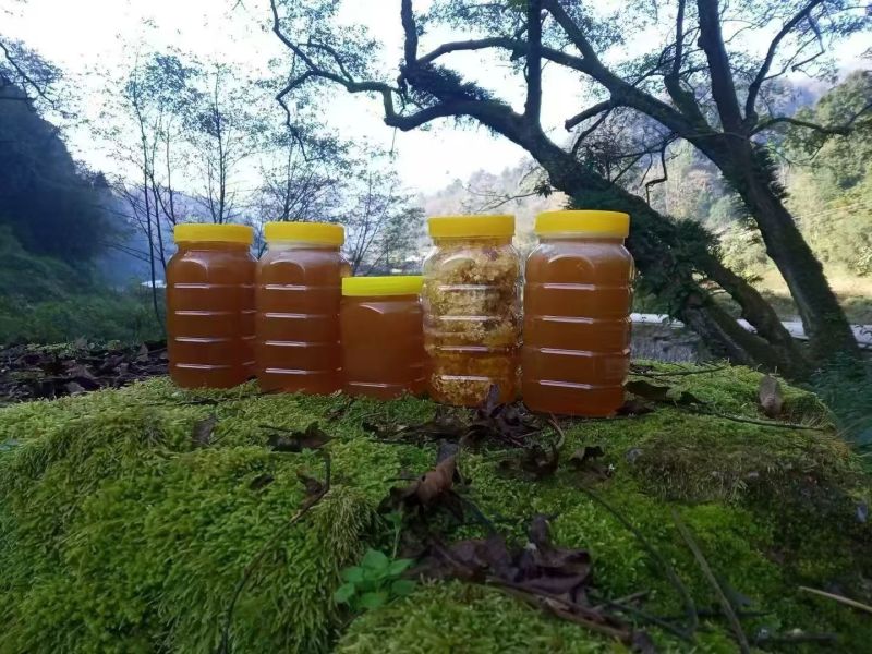 山上正宗土蜂蜜，***！