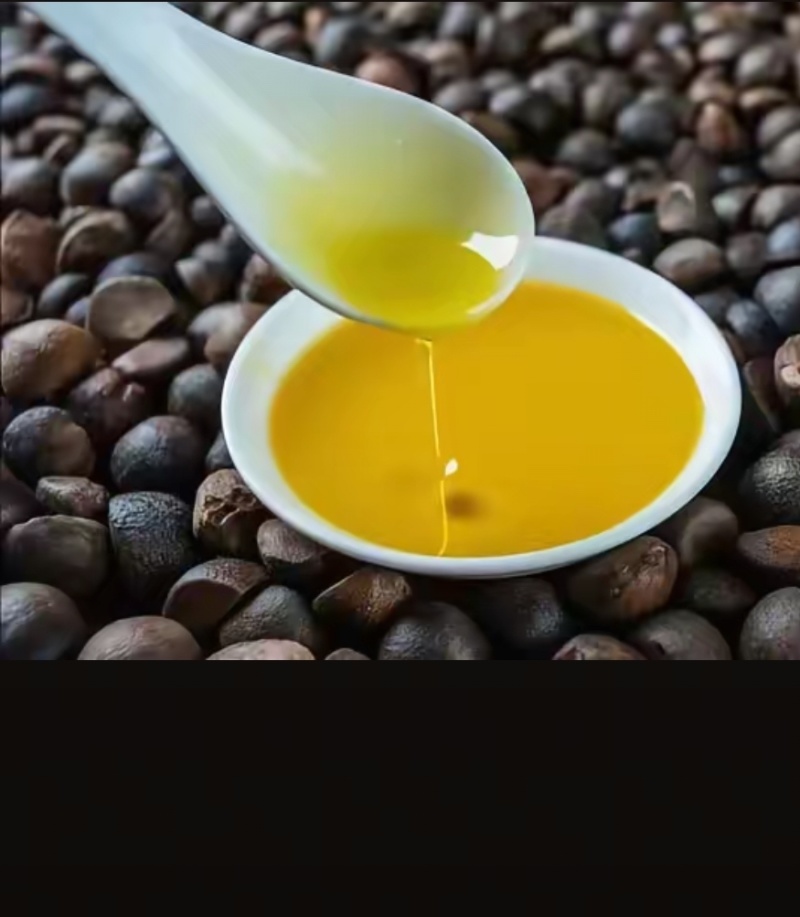 广西茶油百年传承