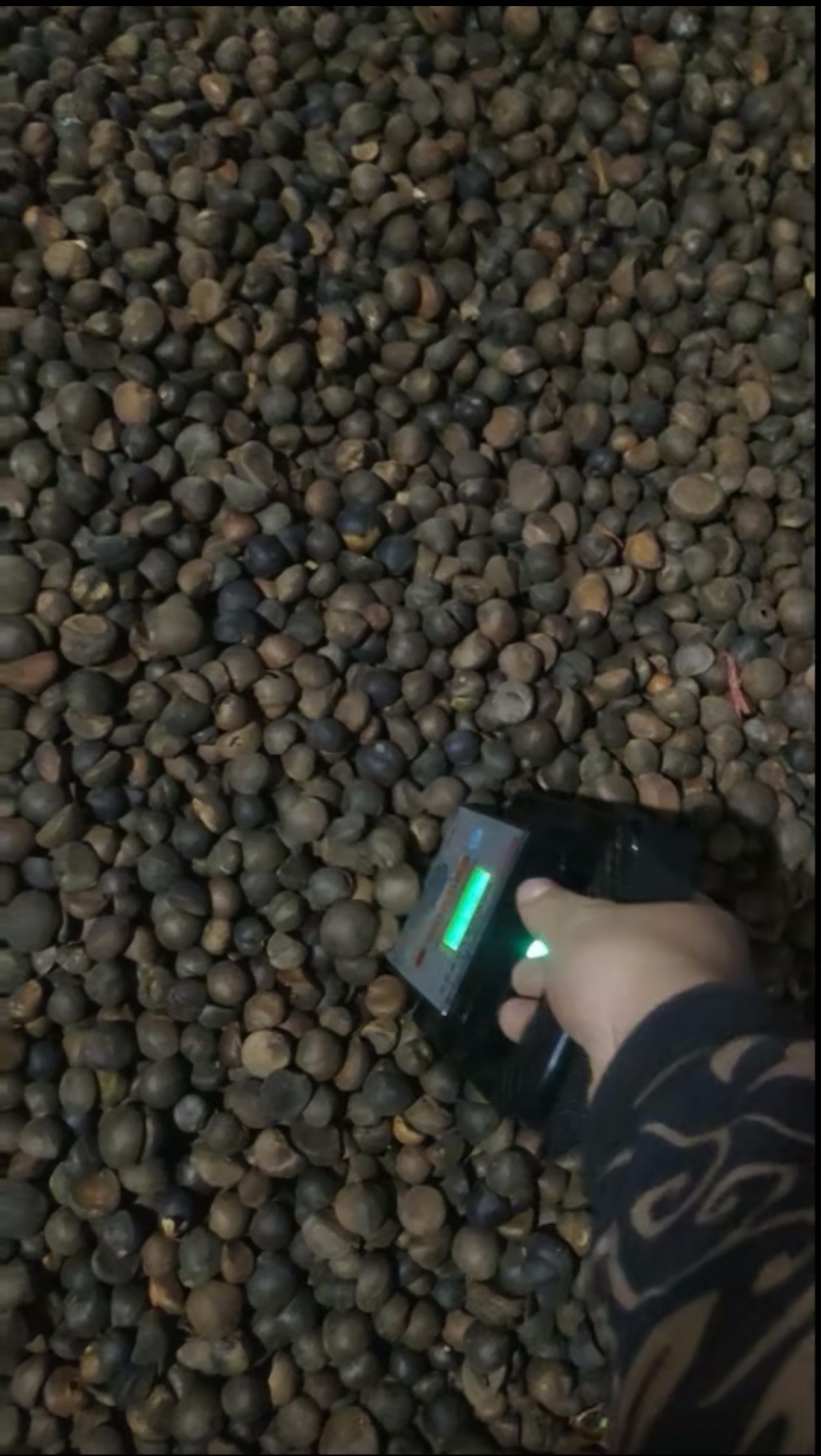 广西茶油百年传承