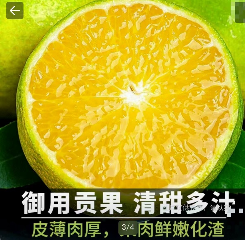 广西皇帝柑精品果55果起9.5斤一件包邮全国发货