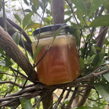 重庆酉阳深山蜂蜜