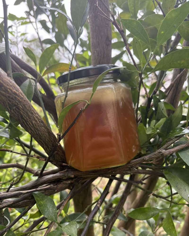 重庆酉阳深山蜂蜜