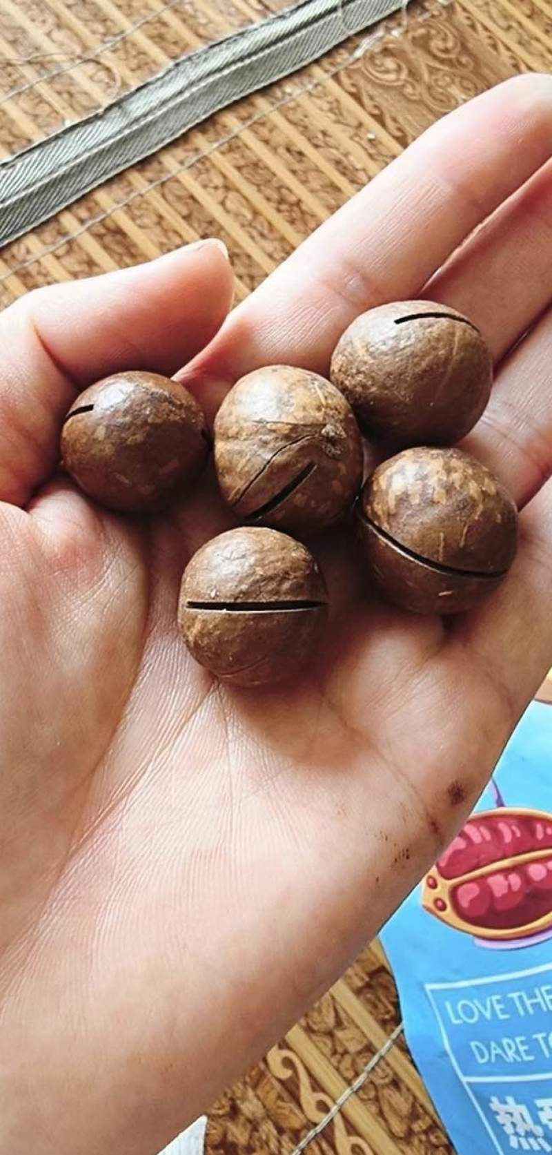 夏威夷果大量现货
