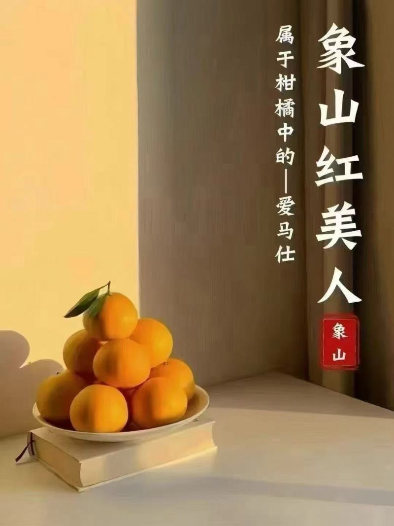宁波象山红美人柑橘