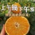 宁波象山红美人柑橘
