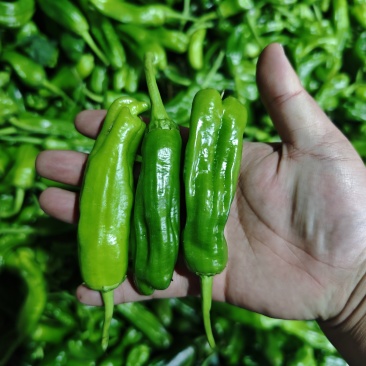 食堂货，电商货