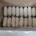 卷肠苦肠厂家直销量大从优