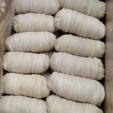 卷肠苦肠厂家直销量大从优