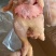 青脚公鸡，麻鸡，老母鸡，肉食鸡，黑凤……