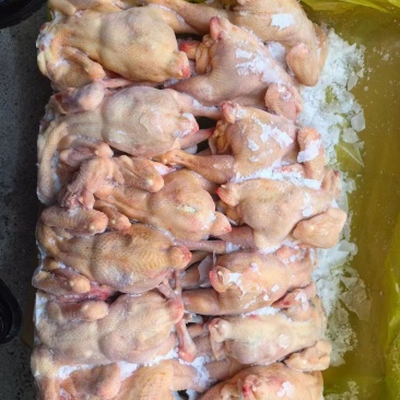 青脚公鸡，麻鸡，老母鸡，肉食鸡，黑凤……