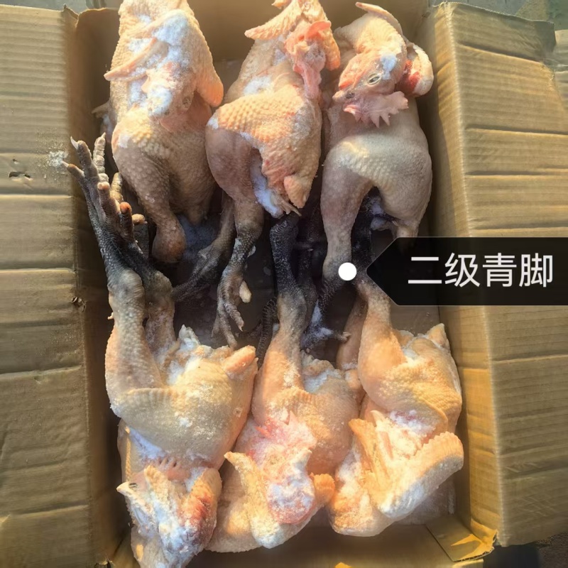青脚公鸡，麻鸡，老母鸡，肉食鸡，黑凤……