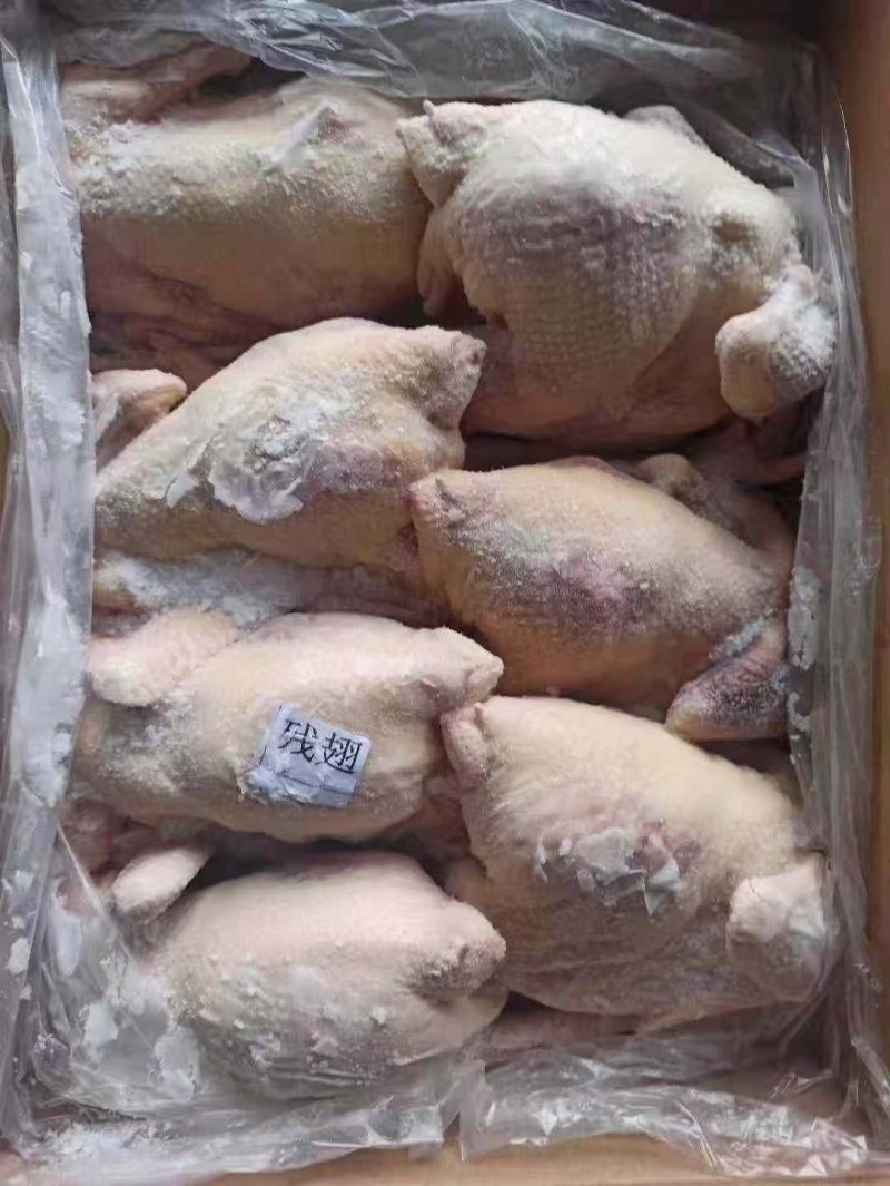 青脚公鸡，麻鸡，老母鸡，肉食鸡，黑凤……