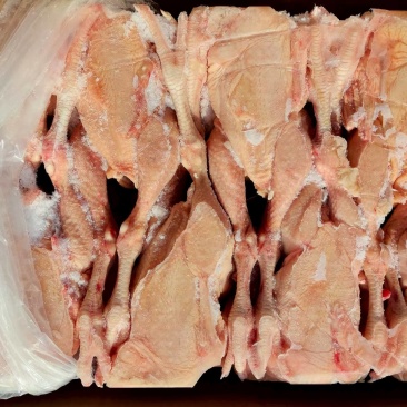 肉食鸡9.5公斤5-6只