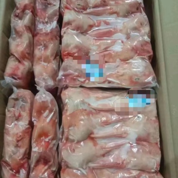 二级鸭头红头不破嘴