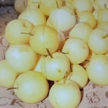 皇冠梨