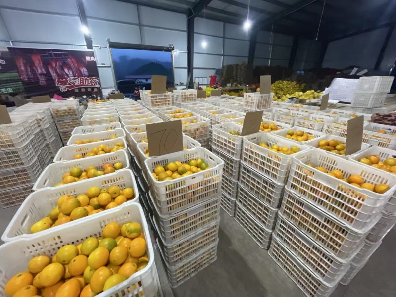 纽荷尔脐橙冰糖橙产地仓库直发一件代发一件也是***