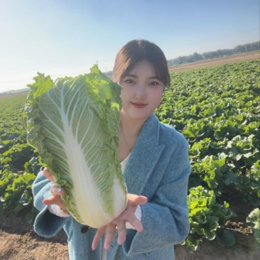 咱们都是净菜重量456