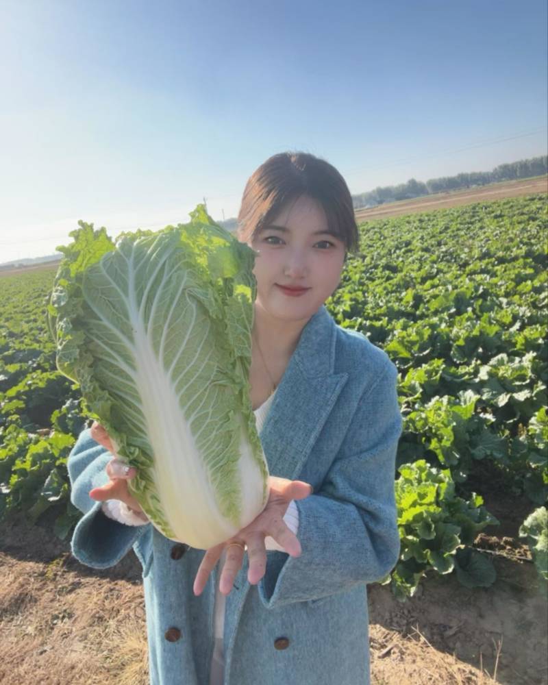 咱们都是净菜重量456