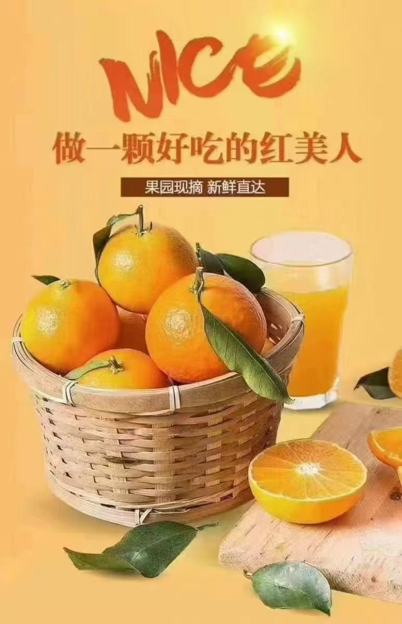 红美人产地直发合作，欢迎团购、电商、一件代发、整车收购。
