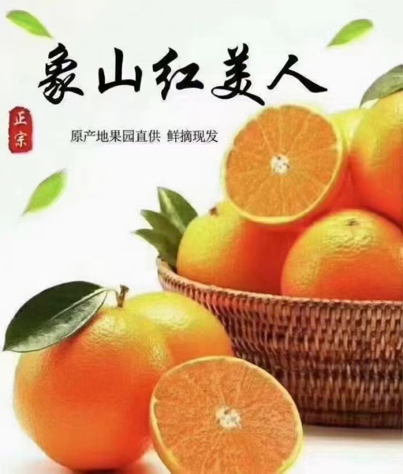 红美人产地直发合作，欢迎团购、电商、一件代发、整车收购。