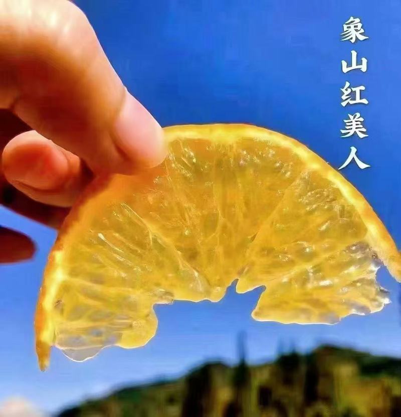 红美人产地直发合作，欢迎团购、电商、一件代发、整车收购。