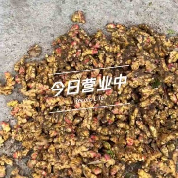生姜