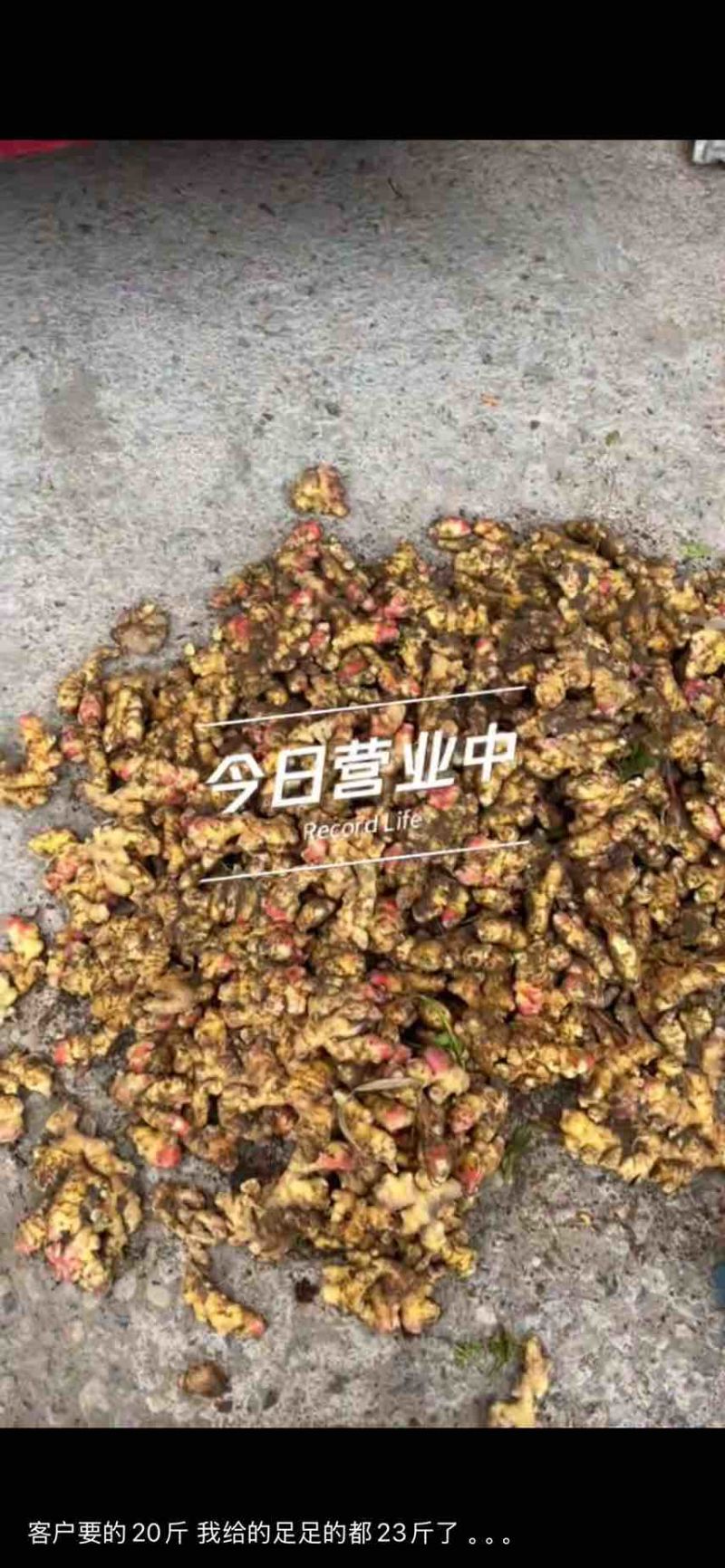 生姜