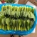 上海青，小油菜