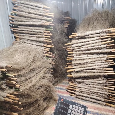 纯红薯粉丝，