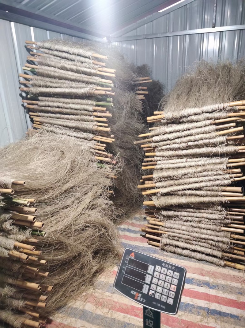 纯红薯粉丝，