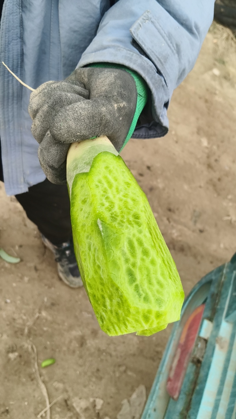 水果萝卜