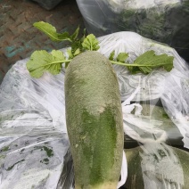 水果萝卜