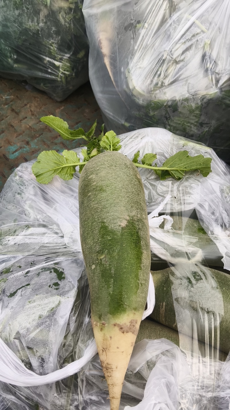 水果萝卜