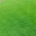 韶关绿化草皮