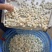 广西桂林荔浦新马蹄速冻生冻马蹄馅料工厂直销糖水奶茶肉馅等批发