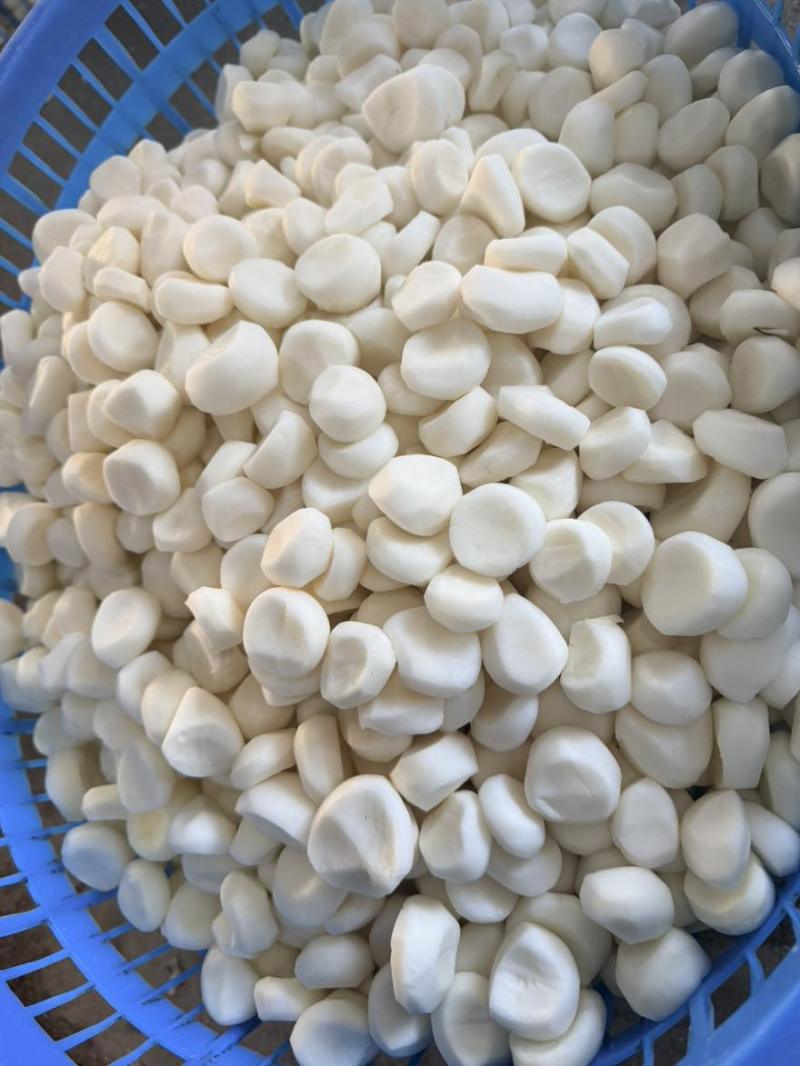广西桂林荔浦新马蹄速冻生冻马蹄馅料工厂直销糖水奶茶肉馅等批发