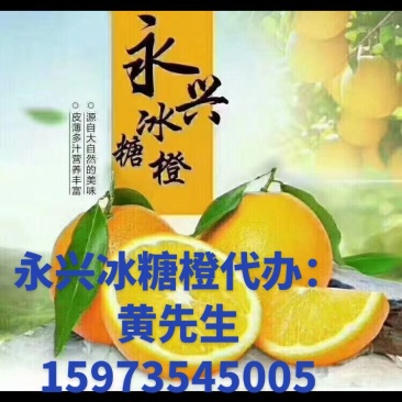 永兴冰糖橙